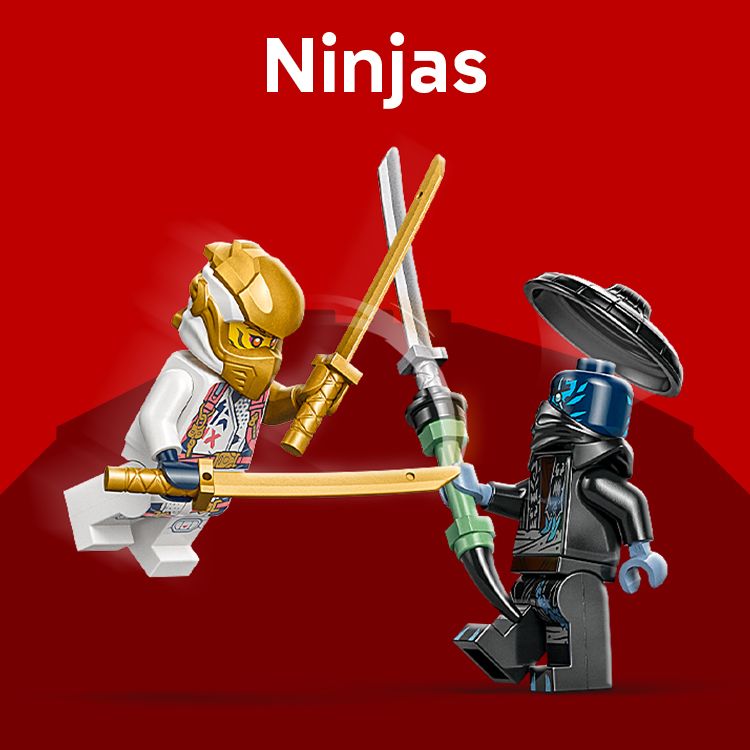 Ninja's